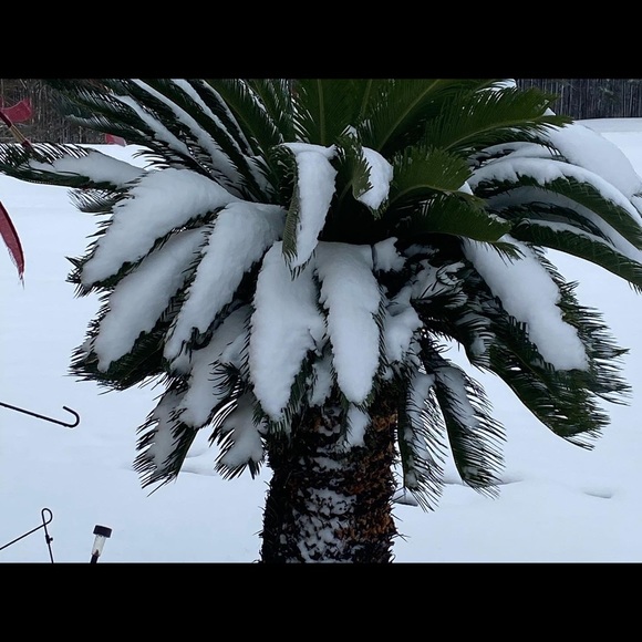 Beautiful pink cover up top - Picture 11 of 12